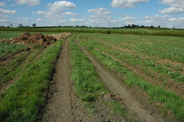 Footpath and track near Cowsden Farm A footpath follows this track across this field, it goes to Cowsden and Upton Snodsbury.