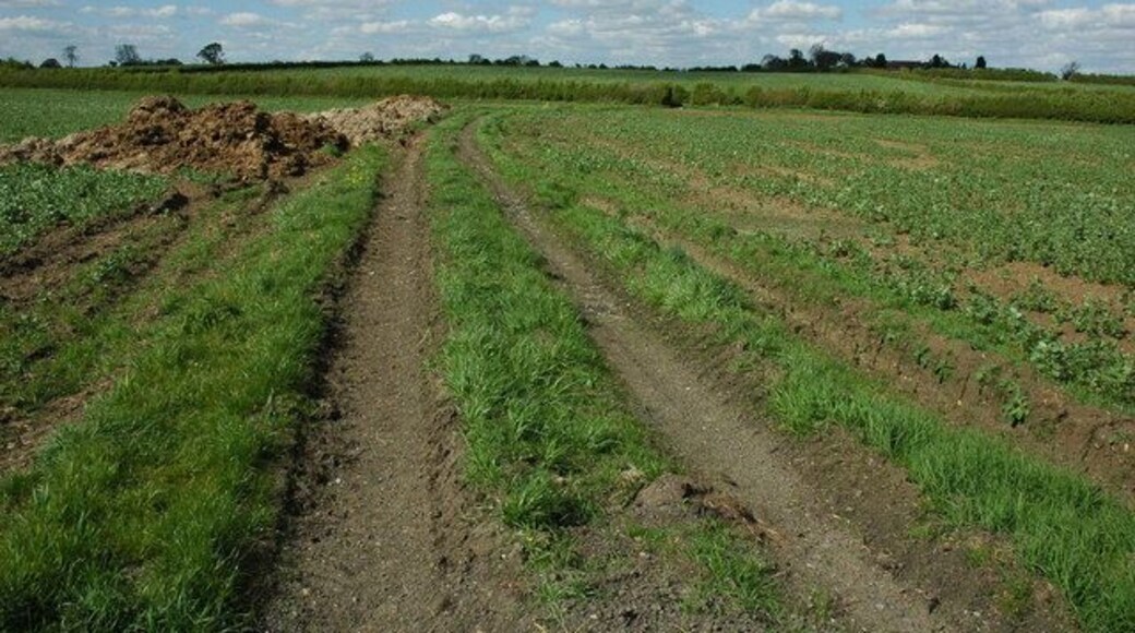 Footpath and track near Cowsden Farm A footpath follows this track across this field, it goes to Cowsden and Upton Snodsbury.