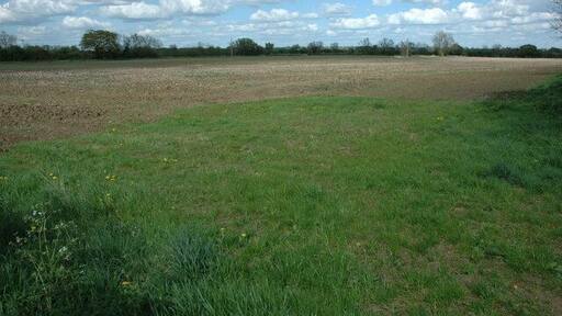 Naunton Court Fields, Naunton Beauchamp The two fields here are a Worcestershire Wildlife site which is managed to encourage the return of tradition wildflowers which used to grow on arable land before the advent of intensive farming practices and the use of agro-chemicals.