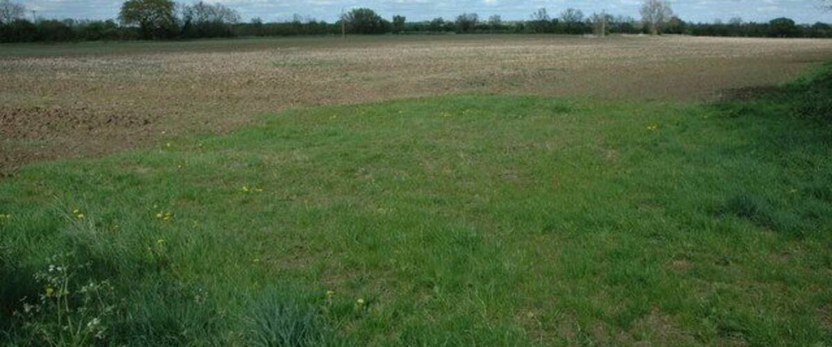 A grassy field with a dirt path and a line of trees in the distance.