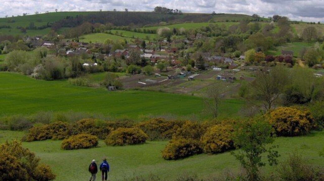 Brailes Allotments from Castle Hill Taken during the annual 3 Hills Walk 2006.