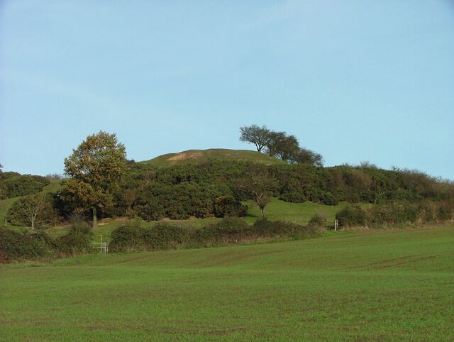 Castle Hill. Tumulus, motte, bailey? I will provide more info a.s.a.p.