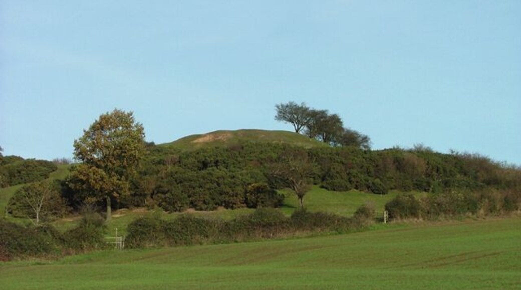 Castle Hill. Tumulus, motte, bailey? I will provide more info a.s.a.p.