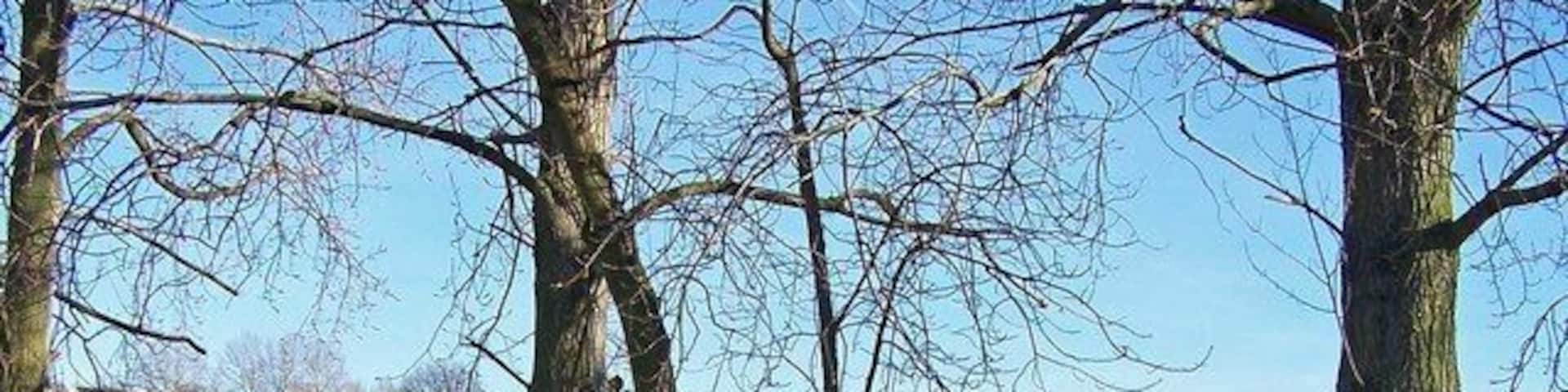 Reservoir at Gore Farm Although not apparent in my photograph, this reservoir and nearby pond are the home to a large variety of waterfowl. A sign invites visitors to enter a small enclosure to feed the birds.