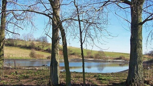 Reservoir at Gore Farm Although not apparent in my photograph, this reservoir and nearby pond are the home to a large variety of waterfowl. A sign invites visitors to enter a small enclosure to feed the birds.