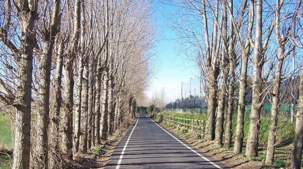 Canterbury Lane Looking west. The tall fence on the right is at the back of the River Valley Golf Course driving range.