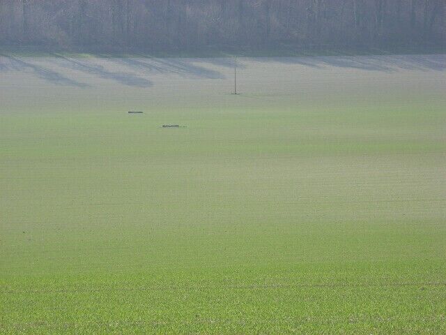 Farmland, Upavon Looking down to Rowden's Cleeve. The field boundaries shown by the Ordnance Survey no longer apply. There is just one large field stretching up from the A342 to the golf course.