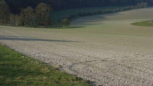 Farmland below Chisman's Cleeve Wooded scarp stretching down to Upavon.
