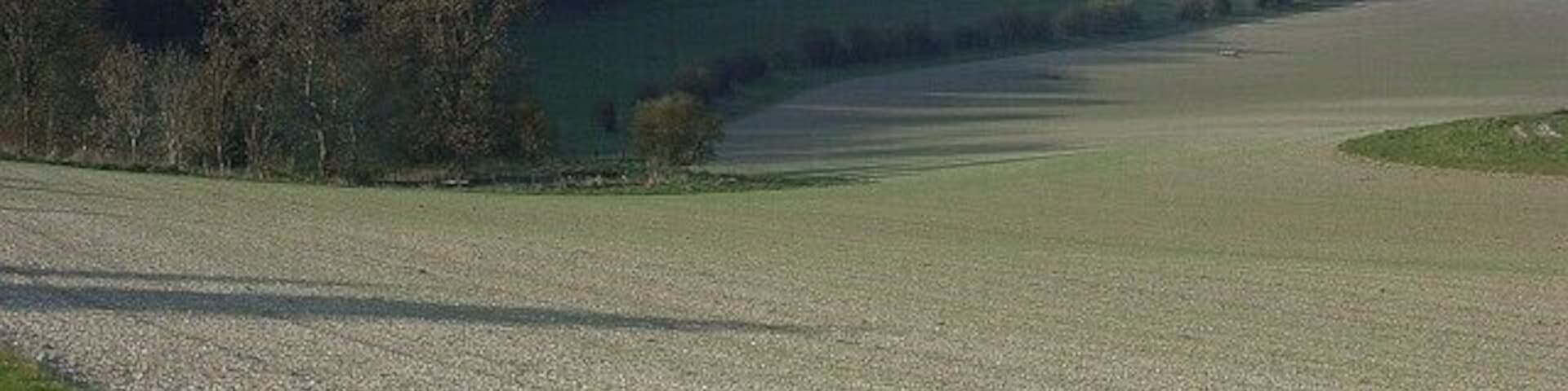 Farmland below Chisman's Cleeve Wooded scarp stretching down to Upavon.