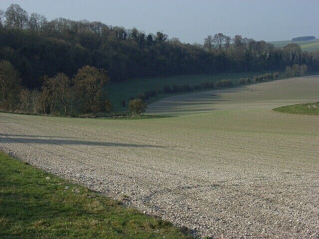 A gravel path alongside a grassy field, with a forested hill in the background.