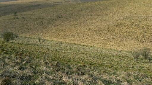 Re-entrant near Water Dean Bottom, Salisbury Plain The sides of the re-entrant, particularly the one nearest the viewpoint, are steeper than they appear in this image.