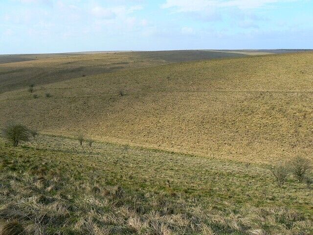 A vast, flat landscape with sparse vegetation and a few scattered trees.