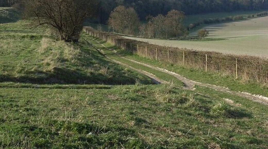 Chisman's Cleeve Looking along the bridleway at the foot of the strip lynchets.