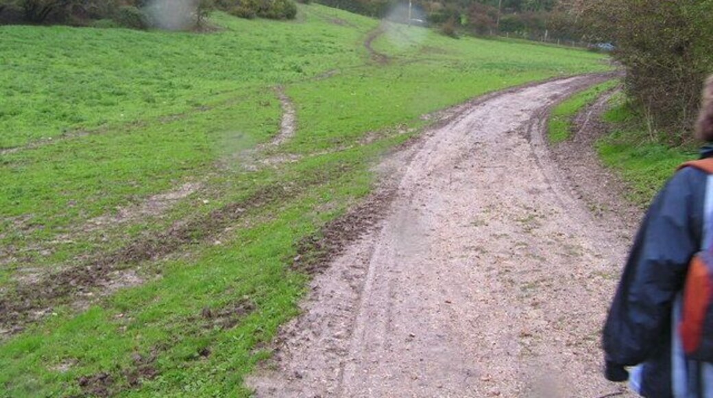 The Purbeck Way in the rain.