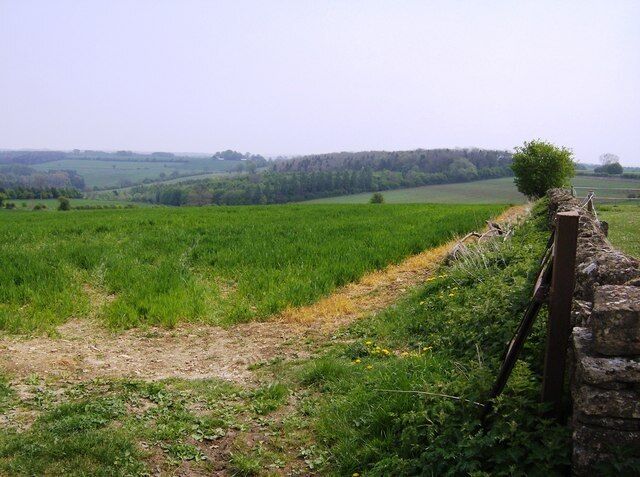 Fields near Castle Barn Farm The first wall of Castle Barn Farm is on the right. The woodland in the distance is Judith Grove, in this square. There is no right of way through this field.