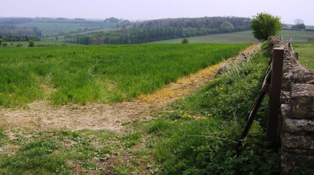 Fields near Castle Barn Farm The first wall of Castle Barn Farm is on the right. The woodland in the distance is Judith Grove, in this square. There is no right of way through this field.