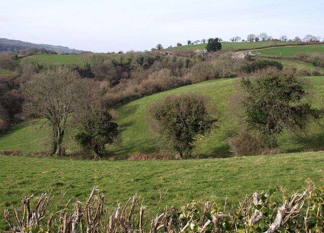 Valley near Trusham Trees along a field boundary running down the foot of a valley between Trusham and the Teign. Manor Farm, on the far side of the actual main Trusham valley, is in SX8482.