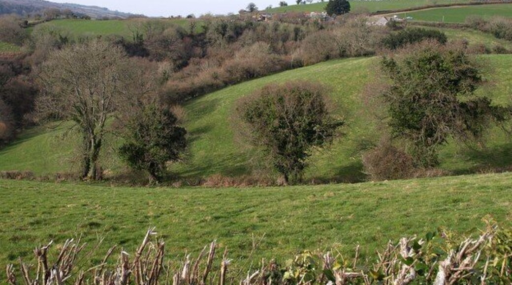 Valley near Trusham Trees along a field boundary running down the foot of a valley between Trusham and the Teign. Manor Farm, on the far side of the actual main Trusham valley, is in SX8482.