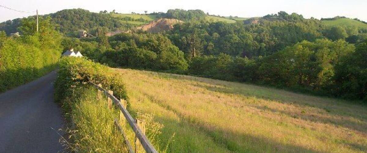A rural road flanked by grassy fields and a forested hill.