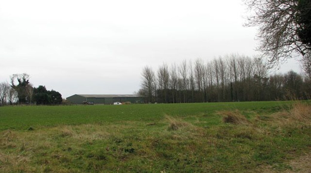 Field adjoining Rookery Farm A winter cereal crop is growing in this field which adjoins a quiet lane that turns off North Walsham Road. The shed seen in the background belongs to Rookery Farm. It is situated in the adjacent grid square.