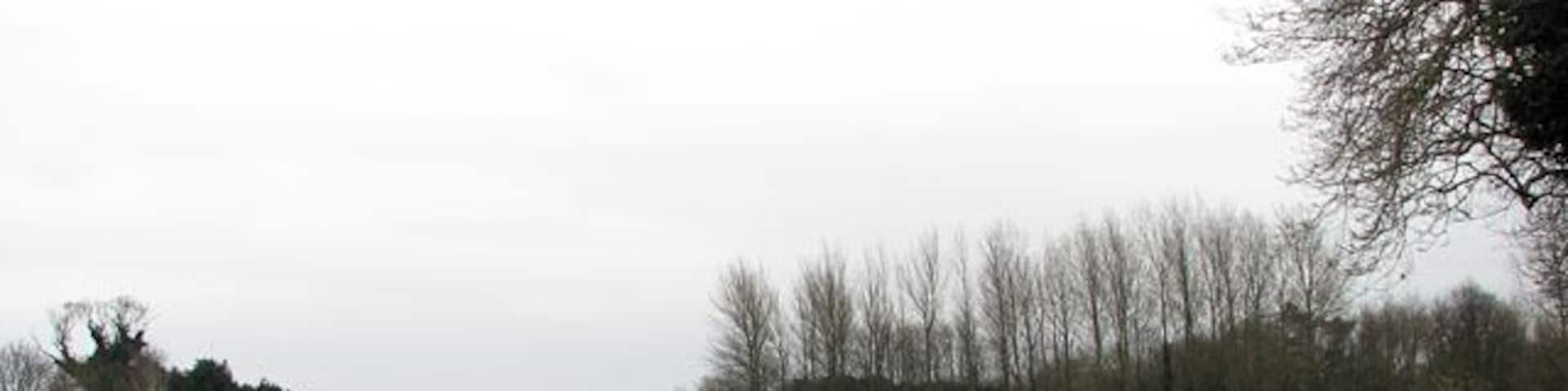 Field adjoining Rookery Farm A winter cereal crop is growing in this field which adjoins a quiet lane that turns off North Walsham Road. The shed seen in the background belongs to Rookery Farm. It is situated in the adjacent grid square.