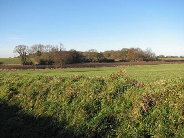 Farmland beside the path. This view was taken from the public footpath which starts where Chapel Road, Bradfield Road and Wright's Loke meet. It follows a track, leading through fields in westerly direction, where it meets another path leading north > 1072848. From here it continues downhill > 1072904 and then turning southerly and crossing a drain > 1072955 after which it becomes Young's Lane > 1072964. On reaching Alder Carr > 1073256 the path turns northwesterly and finally emerges at an unnamed rural road > 1073280 by Warren Farm > 509934.