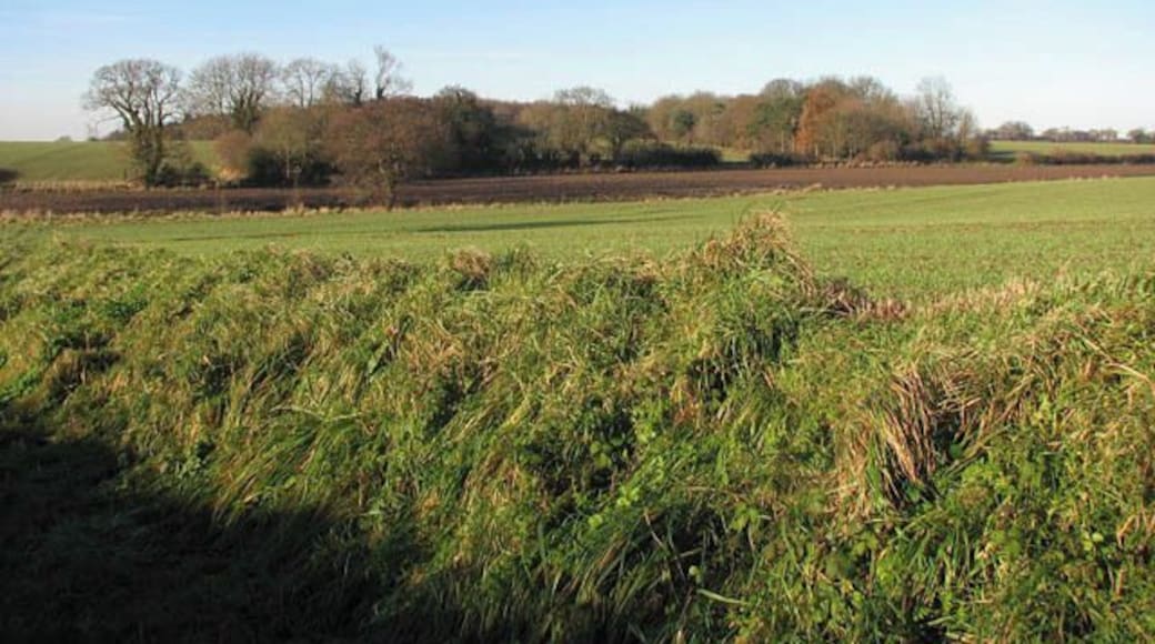 Farmland beside the path. This view was taken from the public footpath which starts where Chapel Road, Bradfield Road and Wright's Loke meet. It follows a track, leading through fields in westerly direction, where it meets another path leading north > 1072848. From here it continues downhill > 1072904 and then turning southerly and crossing a drain > 1072955 after which it becomes Young's Lane > 1072964. On reaching Alder Carr > 1073256 the path turns northwesterly and finally emerges at an unnamed rural road > 1073280 by Warren Farm > 509934.