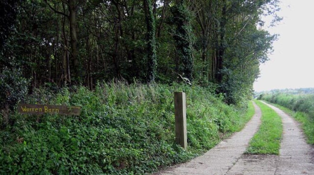 Track beside wood to Warren Barn This side the entrance looks rather inviting but out of shot to the right is a "private road" warning