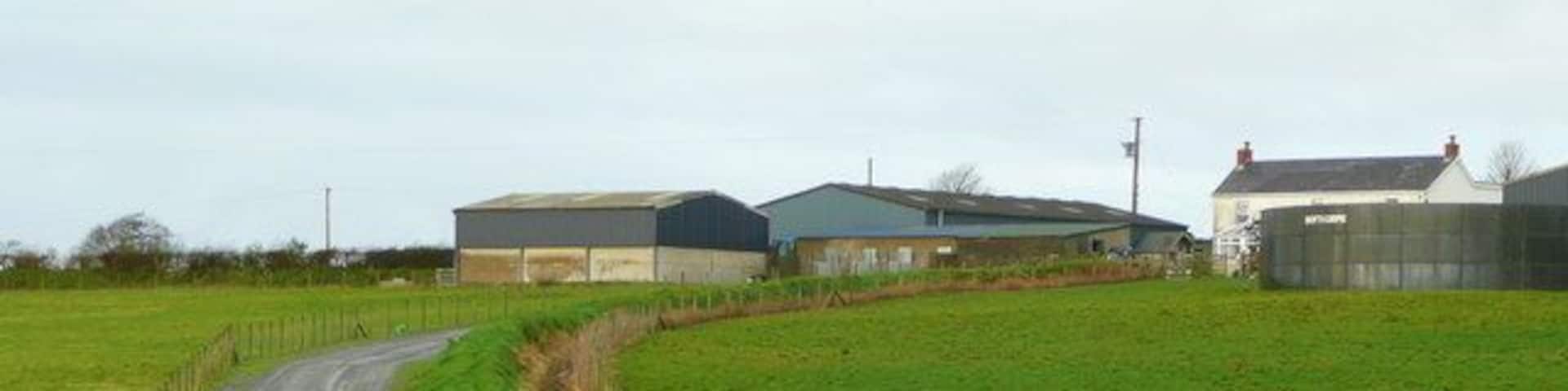 Brynglas Farm The track from the B4299 is a new feature, not yet on mapping.