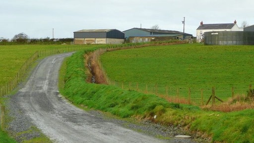 Brynglas Farm The track from the B4299 is a new feature, not yet on mapping.