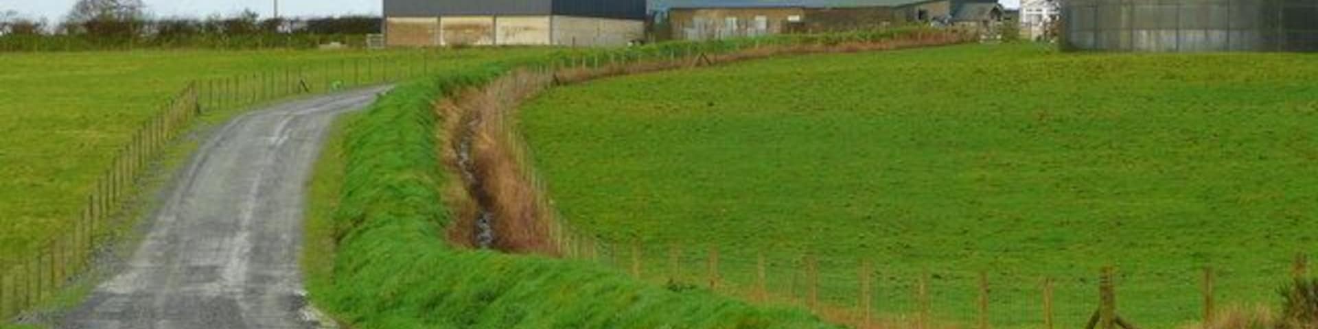Brynglas Farm The track from the B4299 is a new feature, not yet on mapping.