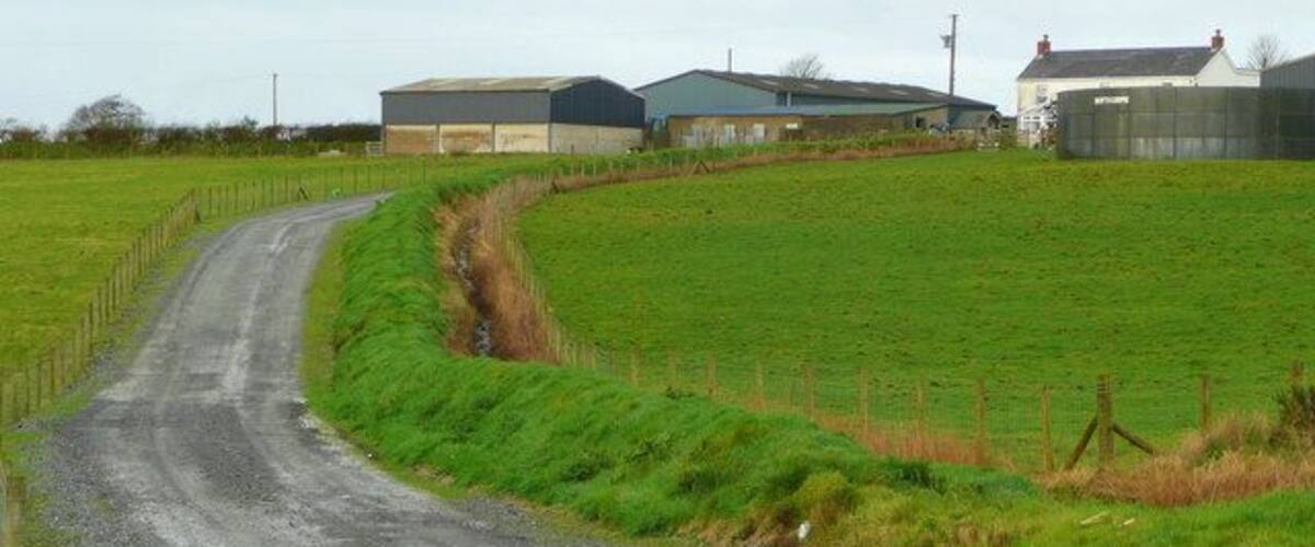 A rural road curving through a green field with farm buildings in the background.
