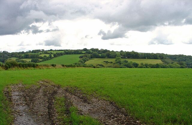 Fields near Blaendyfod, Trelech a'r Betws