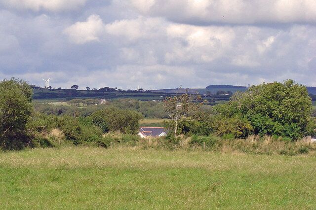 Field near Blaenwauntwr, Trelech The wind turbines on Moelfre (SN326361) are in the distance.