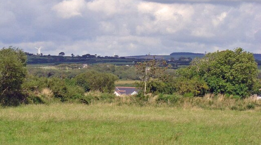 Field near Blaenwauntwr, Trelech The wind turbines on Moelfre (SN326361) are in the distance.
