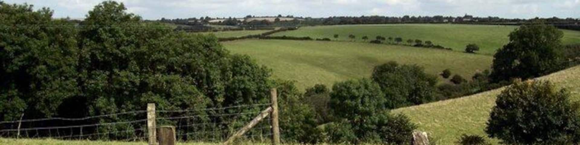 Small valley Valley near Pen rhos-gain farm. Farmland between Meidrim and Trelech.