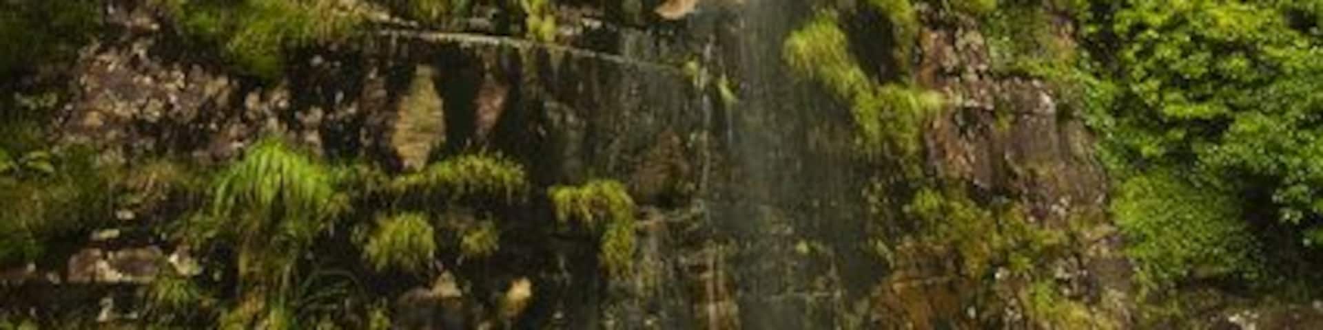 Waterfall on Nant Drysiog This Waterfall can be found were the Nant Drysiog drops down a vertical rock face to the east of Garreg Lwyd