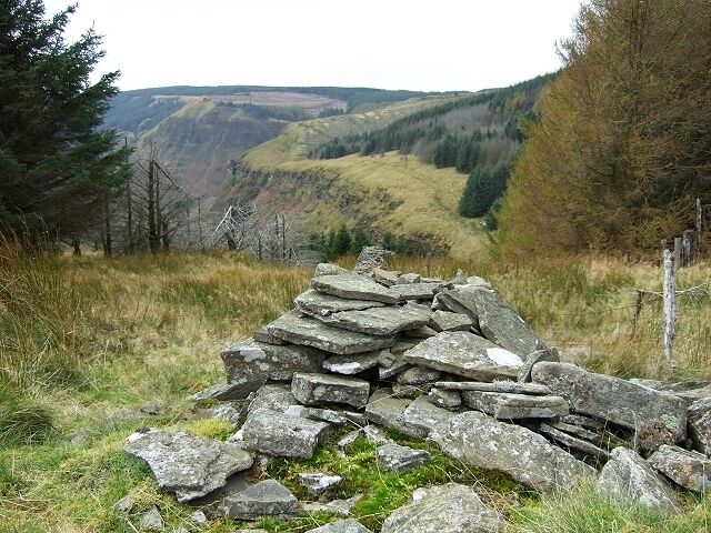 Old Wall at Cwm Lluest, Penpych Woodland Park
