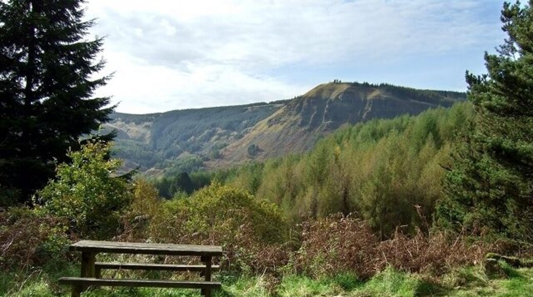 Penpych Woodland Park, Rest Stop