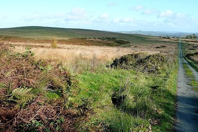 Firhouse Sheepwalk The 1:25K map names this area as Firhouse Sheepwalk, a name that probably has some historical connotation. A lane crosses the scrubby land with a gate at either end, which means that I was probably the first person other than the local farmer to use it for months.