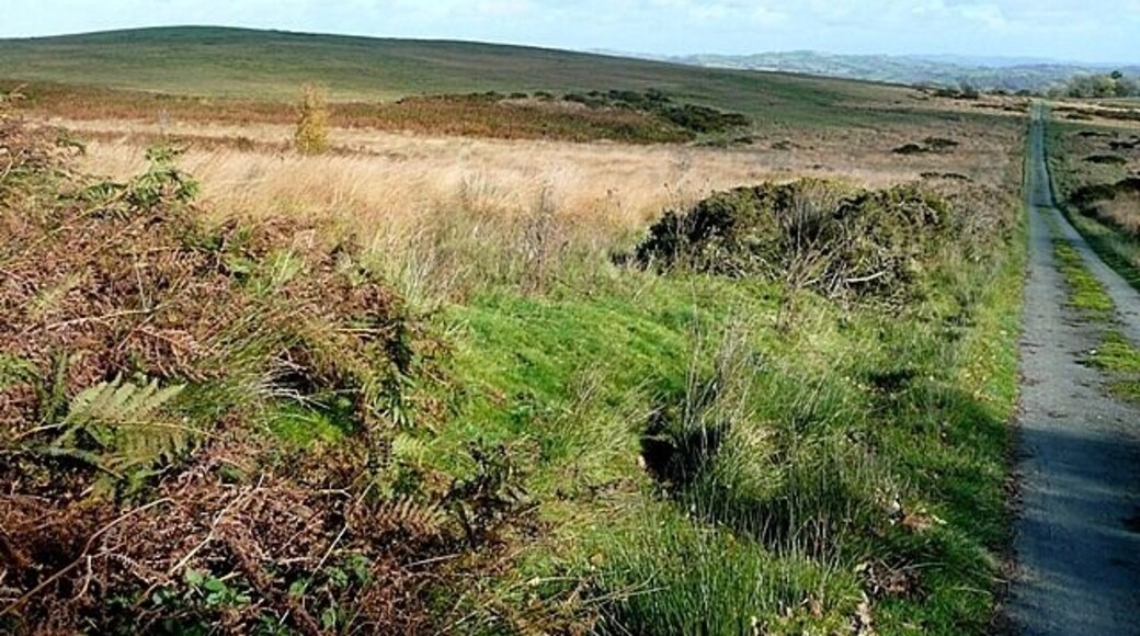 Firhouse Sheepwalk The 1:25K map names this area as Firhouse Sheepwalk, a name that probably has some historical connotation. A lane crosses the scrubby land with a gate at either end, which means that I was probably the first person other than the local farmer to use it for months.