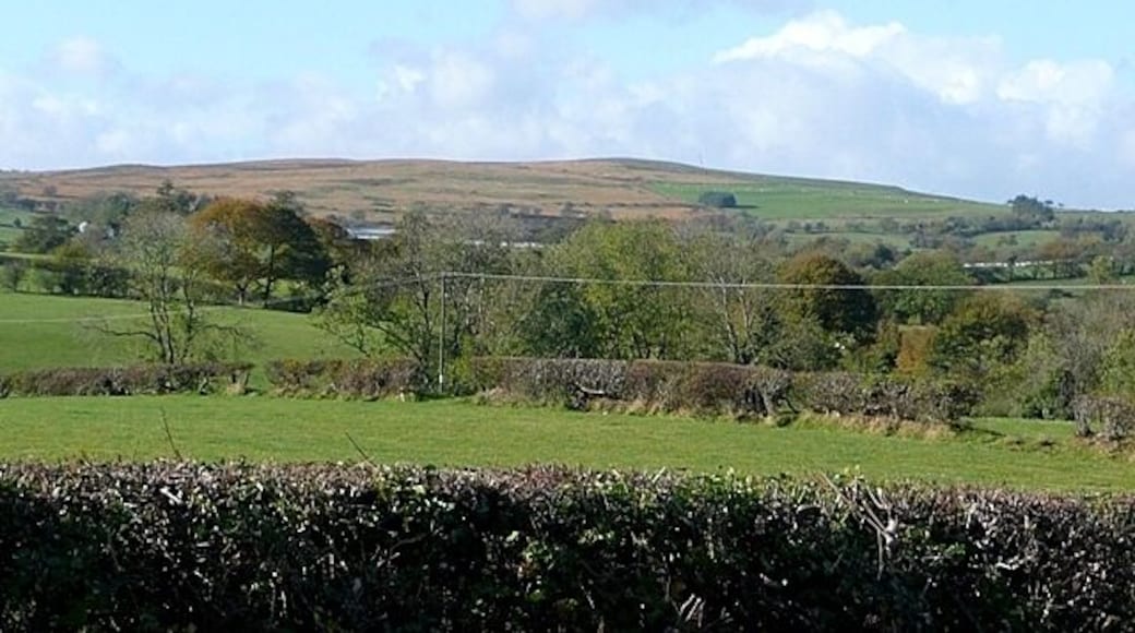 Farmland near Aberclawdd Sheep farming in small irregular fields, with the moorland of Mynydd Argoed SO0498 beyond.