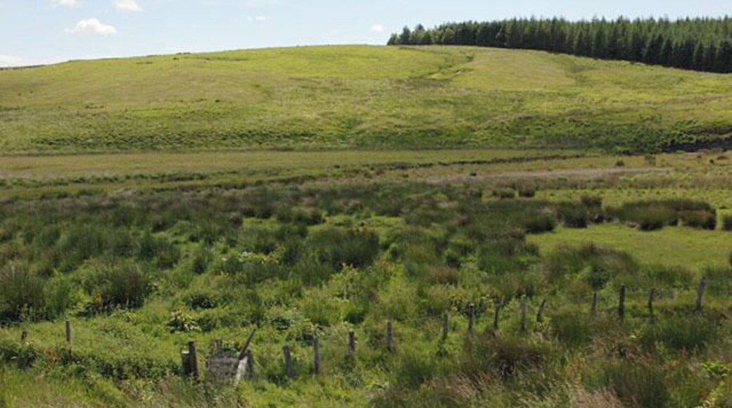 Farmland south of Staylittle / Penffordd-Lâs Rough grazing nearby, slightly less rough beyond. The Afon Clywedog runs in a dip across the picture.