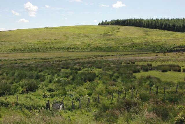 A grassy hill with a fence in the foreground and a forest in the background.