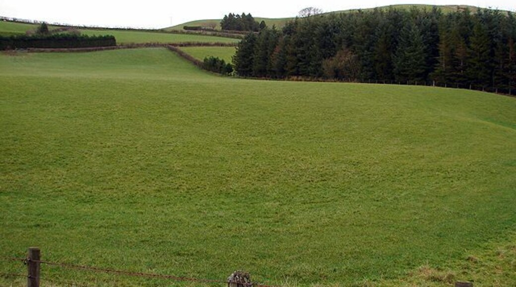 Pristine Farmland Viewed from beside the B4518 road. Esgair-goch farm is just visible near the horizon.