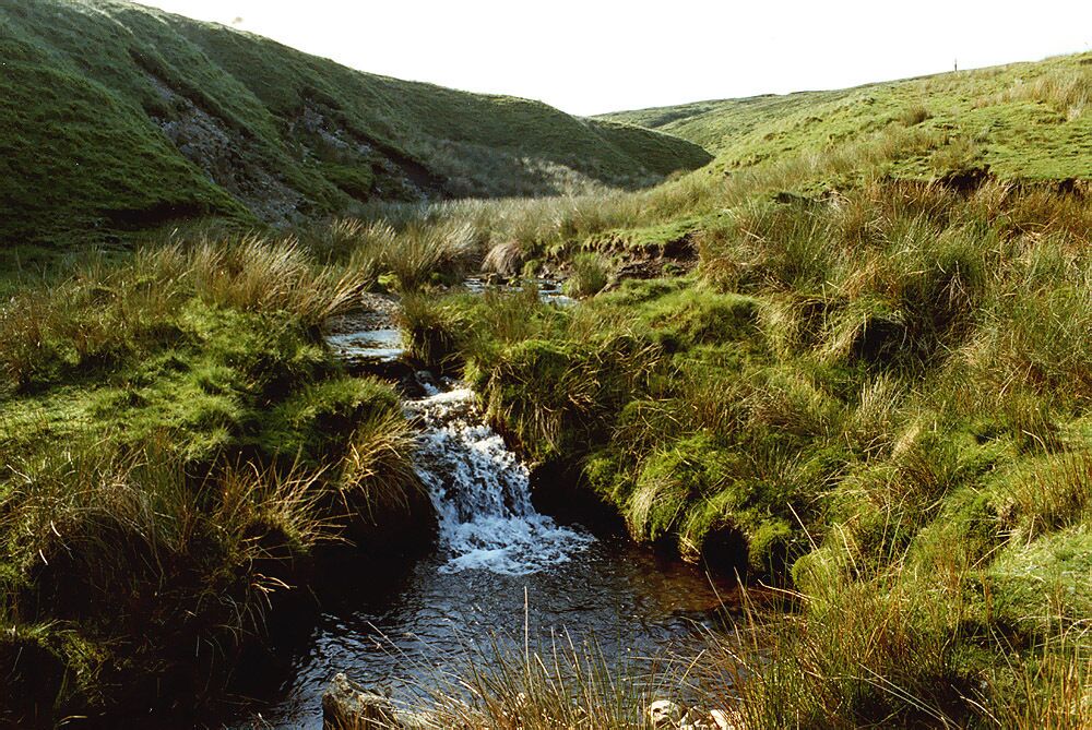 The infant Afon Hafren / River Severn Here just a stream not far from its source, draining the moors near Pumlumon Cwmbiga.