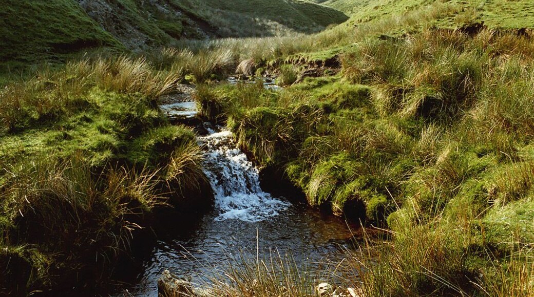 The infant Afon Hafren / River Severn Here just a stream not far from its source, draining the moors near Pumlumon Cwmbiga.