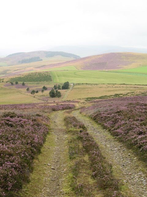 Moorland track Looking down the track that ascends the western flank of Gallows Hill.