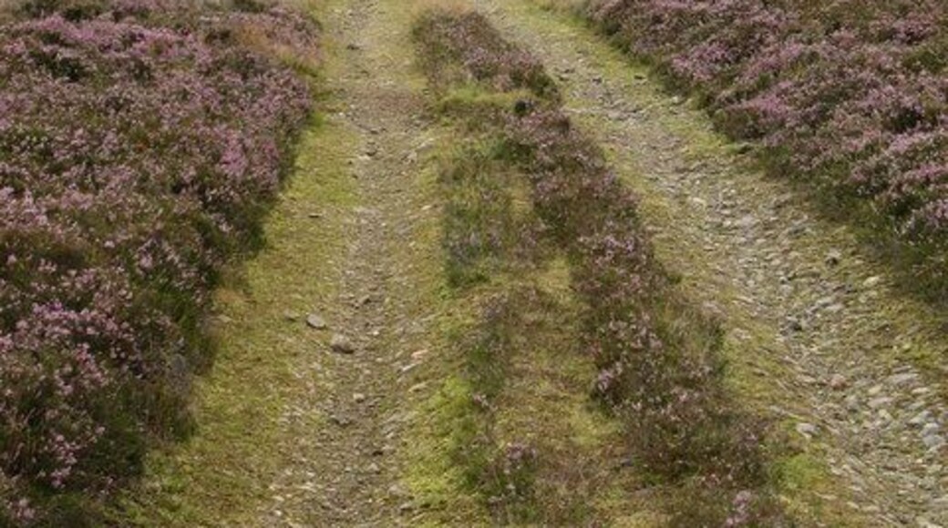 Moorland track Looking down the track that ascends the western flank of Gallows Hill.