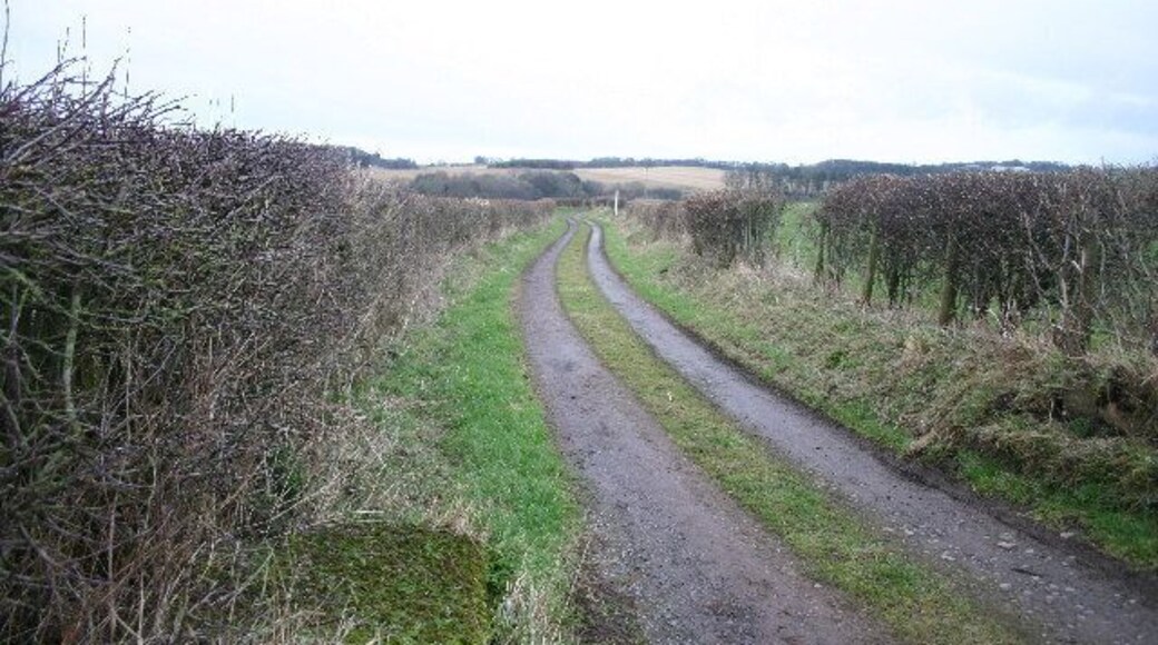 Lane to Newbiggin Grange.